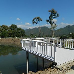 Family Room Mountain View